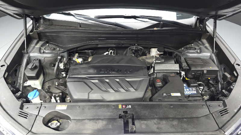 car Hyundai Palisade id55671 photo #6