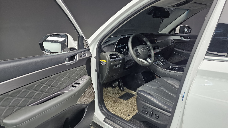 car Hyundai Palisade id55837 photo #10