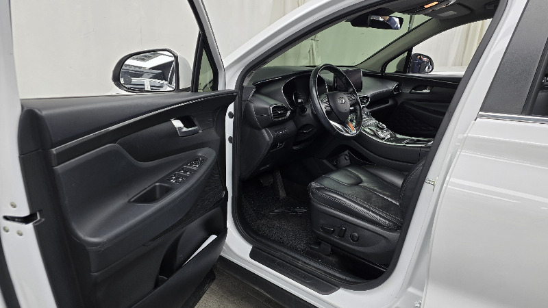 car Hyundai Santa FE id56738 photo #10