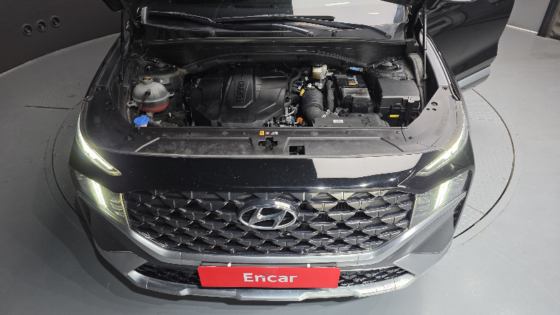 car Hyundai Santa FE id56754 photo #6