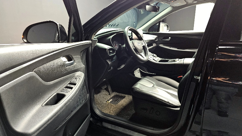 car Hyundai Santa FE id57238 photo #10
