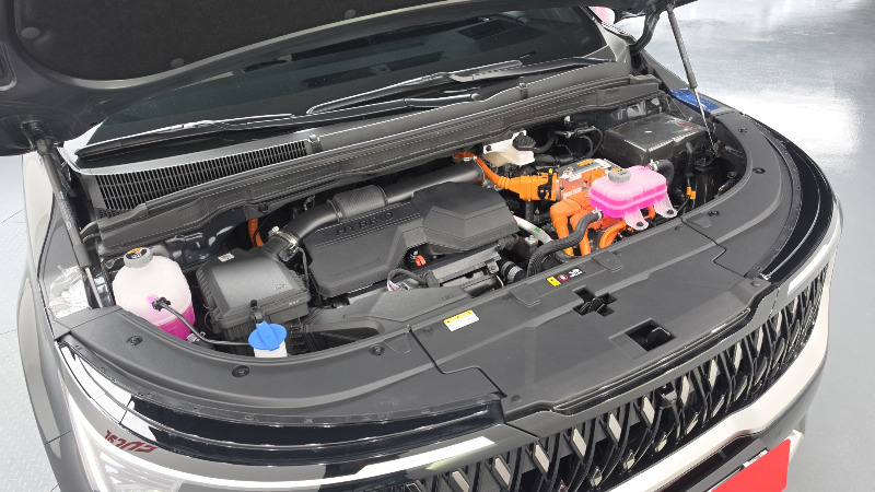 car KIA Carnival id60745 photo #6