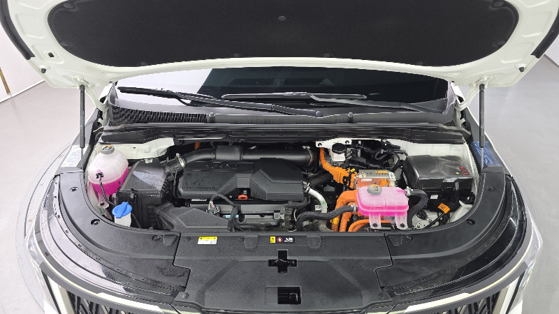 car KIA Carnival id60919 photo #6