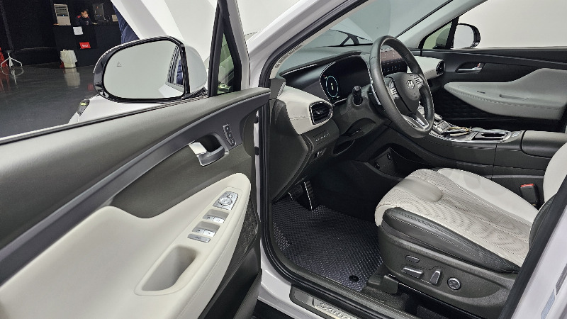 car Hyundai Santa FE id61850 photo #11