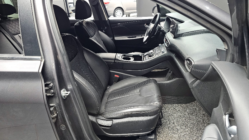 car Hyundai Santa FE id66007 photo #10