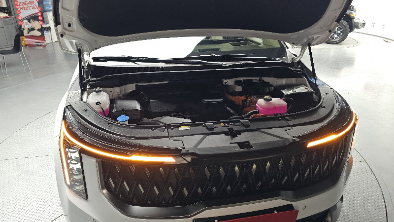 car KIA Carnival id66659 photo #6
