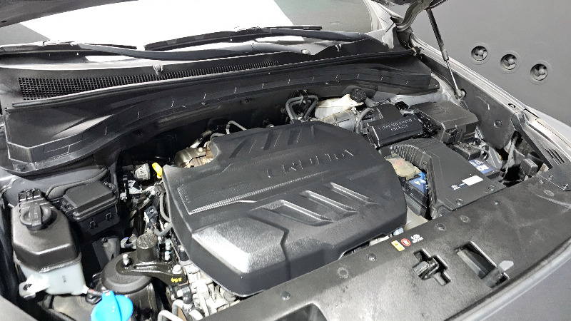 car Hyundai Santa FE id67659 photo #6