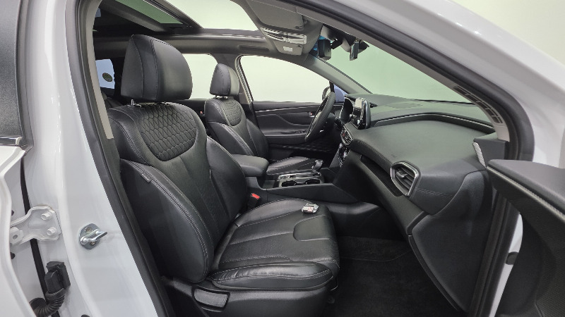 car Hyundai Santa FE id67863 photo #10