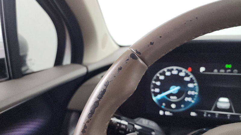 car KIA Carnival id68232 photo #17