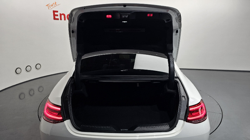 car Mercedes Benz CLS Class id69871 photo #19