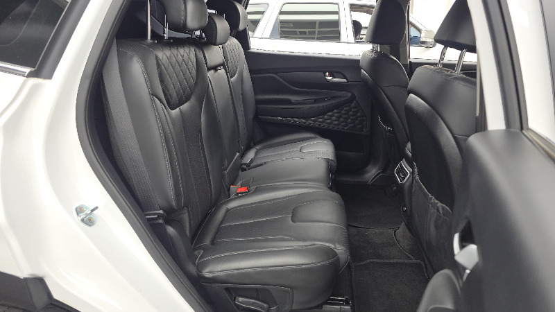 car Hyundai Santa FE id70825 photo #12