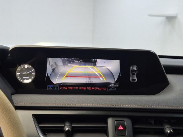 car Lexus UX 250h id14175 photo #12