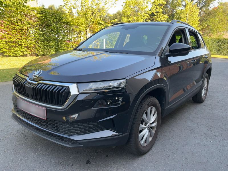 car Skoda Karoq id73513 main photo