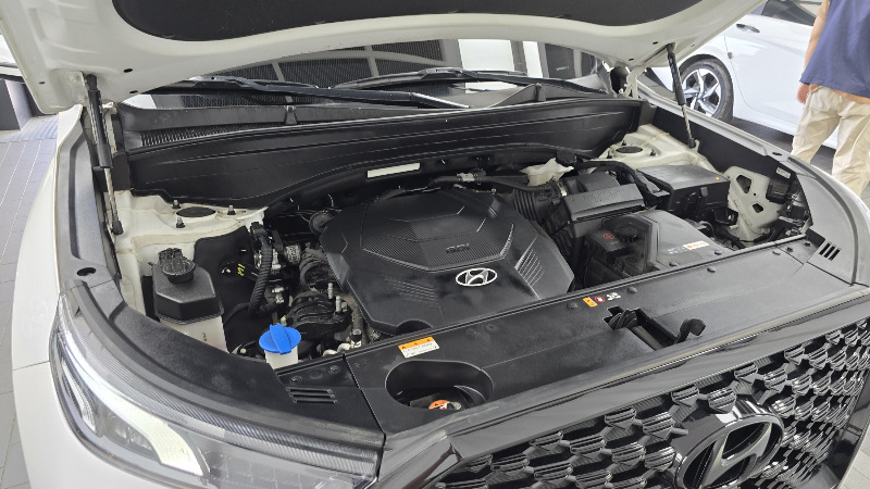 car Hyundai Palisade id74612 photo #6