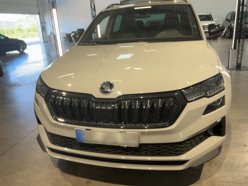 car Skoda Karoq id79413 photo #5
