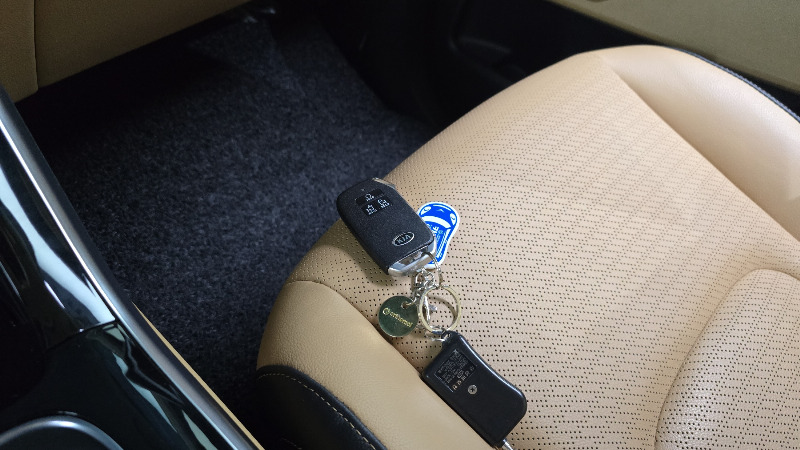 car KIA Carnival id80904 photo #15