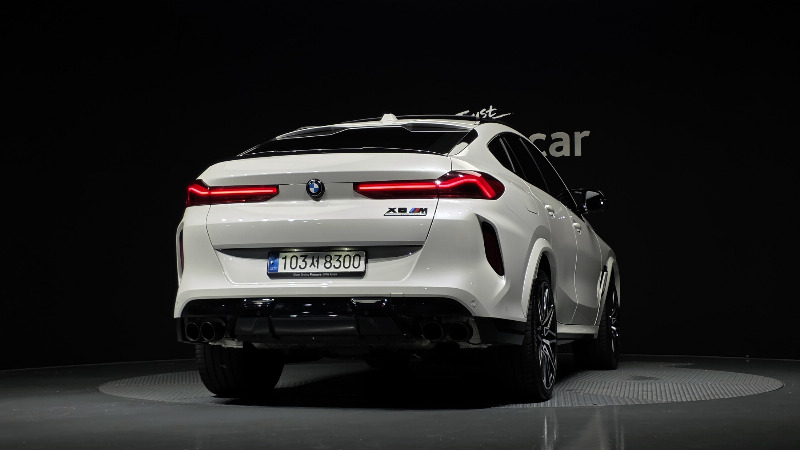 car BMW X6 id81111 photo #4