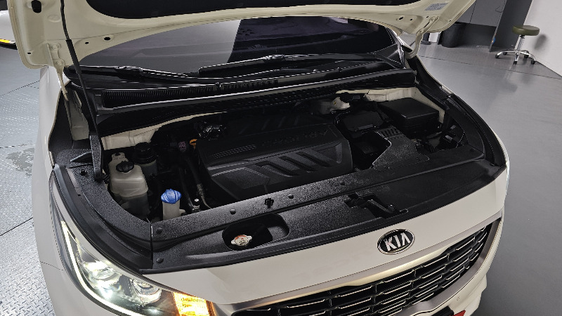 car KIA Carnival id85256 photo #6
