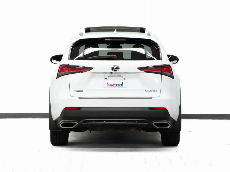 car Lexus NX id90404 photo #2