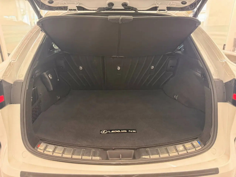 car Lexus NX id90464 photo #10