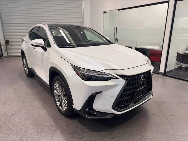 car Lexus NX id90464 photo #3