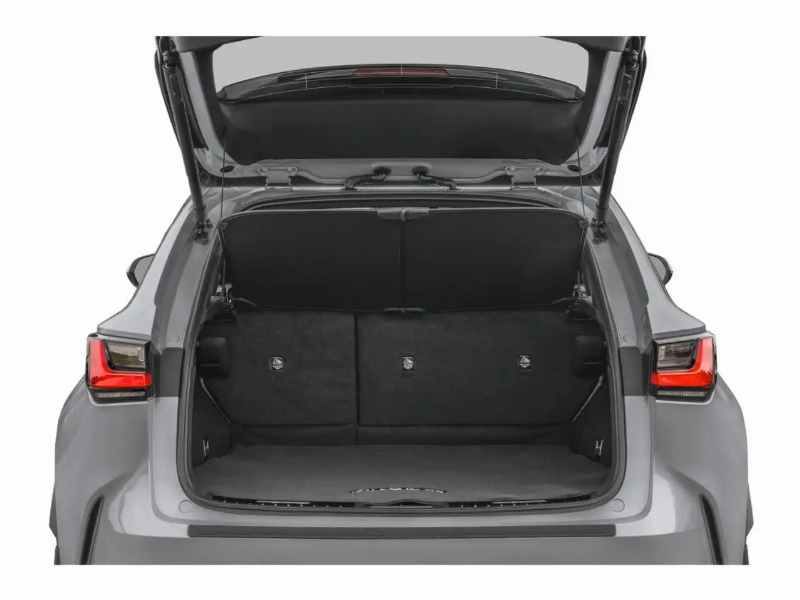 car Lexus NX id90475 photo #8