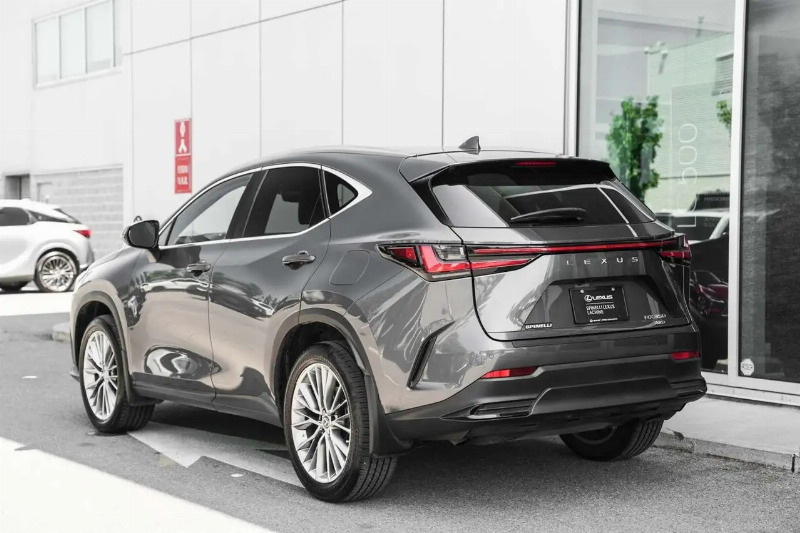 car Lexus NX id90655 photo #4