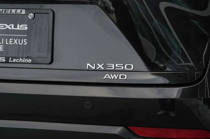car Lexus NX id90656 photo #9