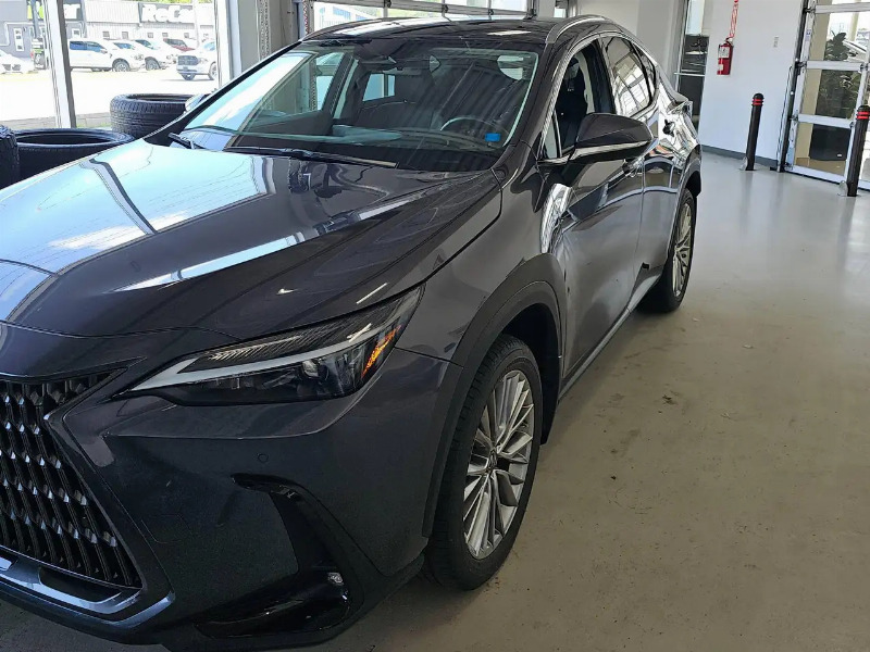 car Lexus NX id90721 photo #2