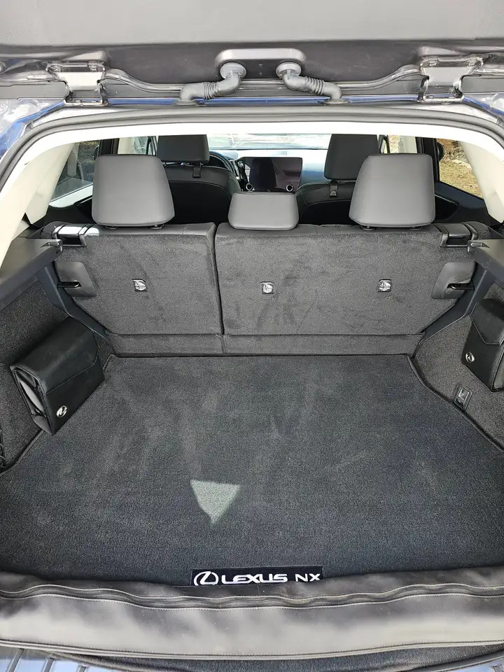 car Lexus NX id90721 photo #20