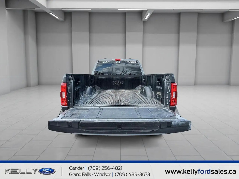 car Ford F-150 id91907 photo #14