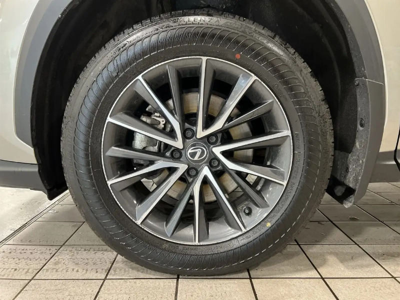 car Lexus NX id92044 photo #8