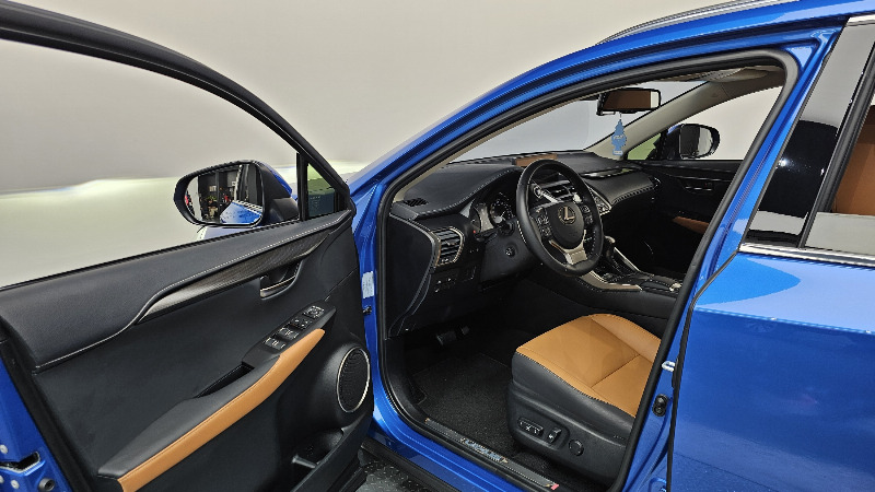 car Lexus NX id93080 photo #10