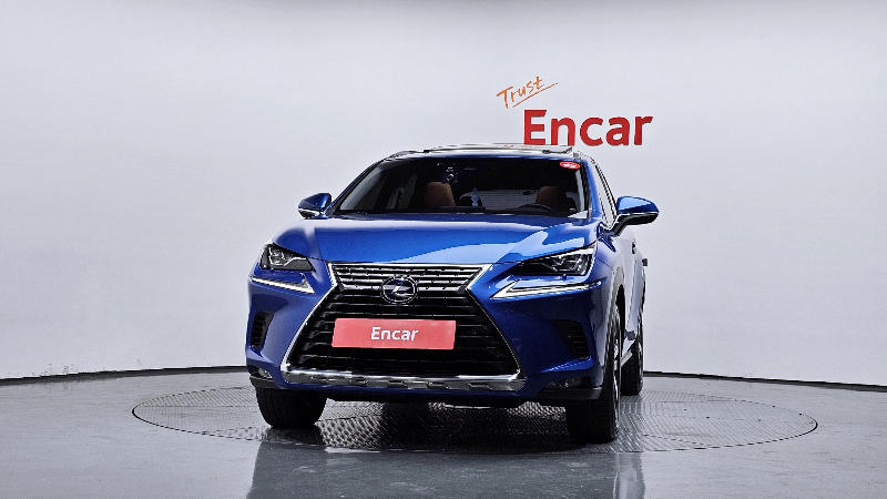 car Lexus NX id93080 photo #3
