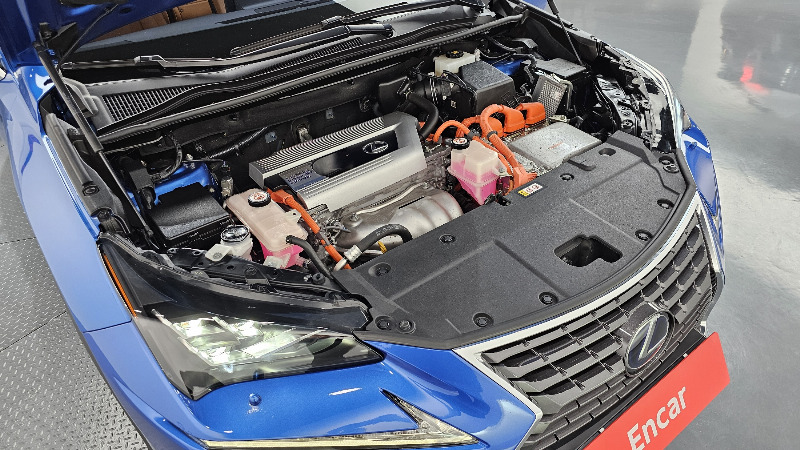 car Lexus NX id93080 photo #6