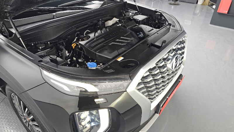 car Hyundai Palisade id96028 photo #6