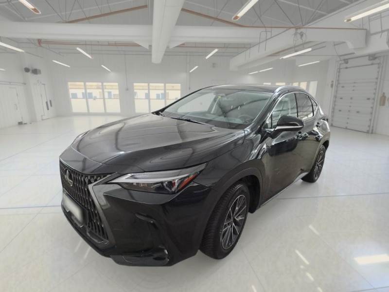 car Lexus NX id96247 main photo
