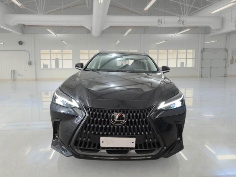car Lexus NX id96247 photo #12