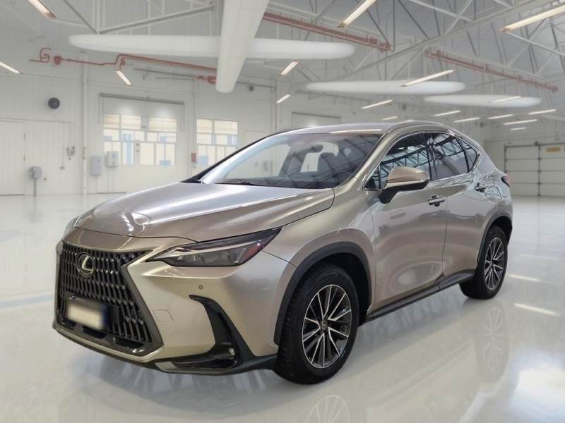 car Lexus NX id96250 main photo