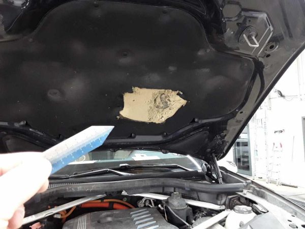 car BMW X5 id15786 photo #22