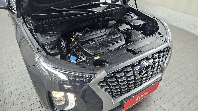 car Hyundai Palisade id16429 photo #6