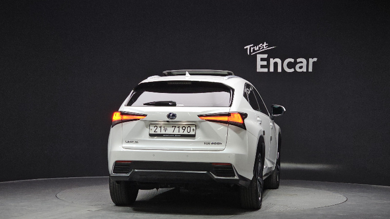 car Lexus NX Series id16457 photo #4