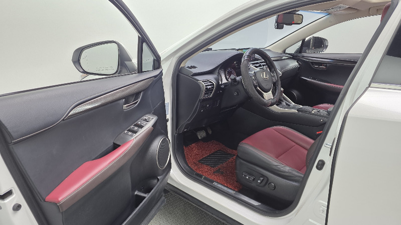 car Lexus NX Series id16461 photo #10