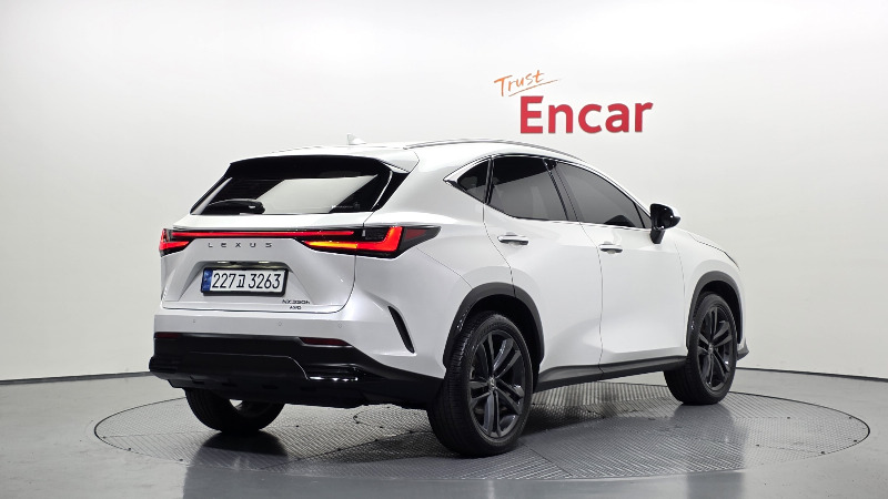 car Lexus NX Series id16472 photo #2