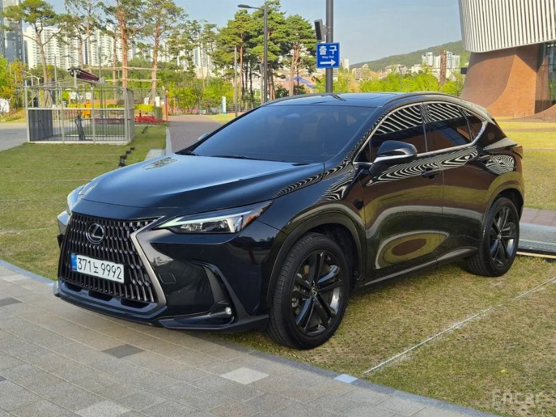car Lexus NX Series id16480 main photo
