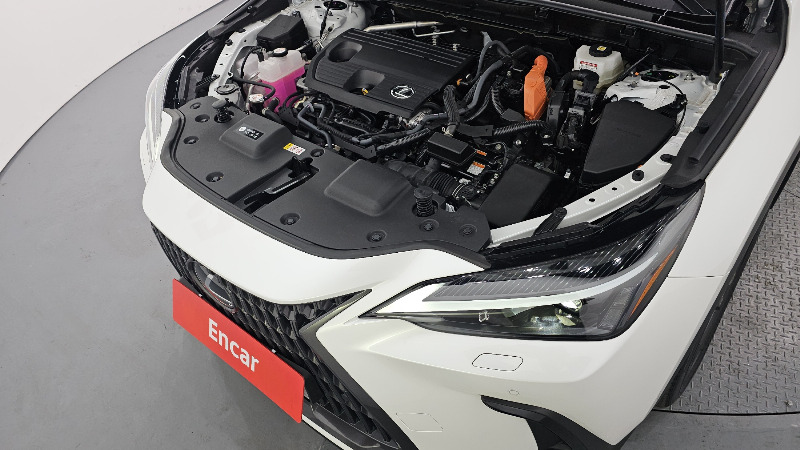 car Lexus NX Series id16482 photo #6