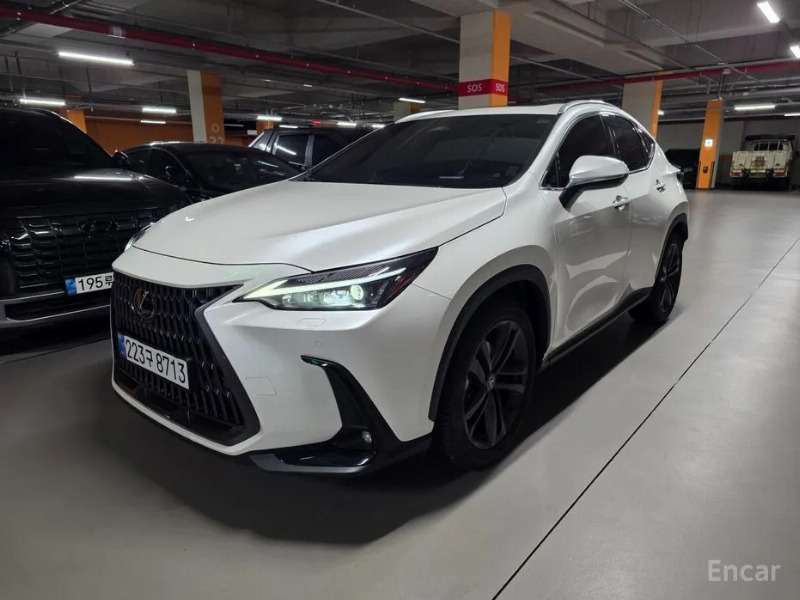 car Lexus NX Series id16484 main photo
