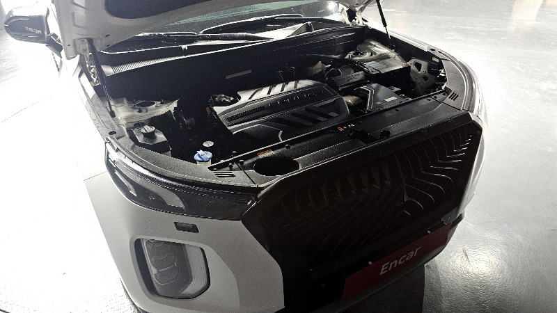car Hyundai Palisade id16524 photo #6