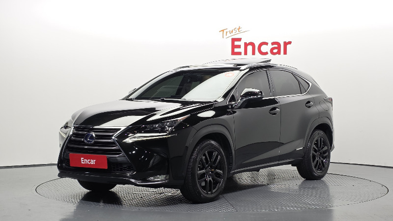 car Lexus NX Series id16787 main photo