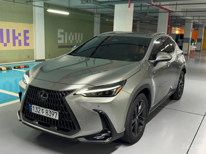 car Lexus NX Series id16790 main photo